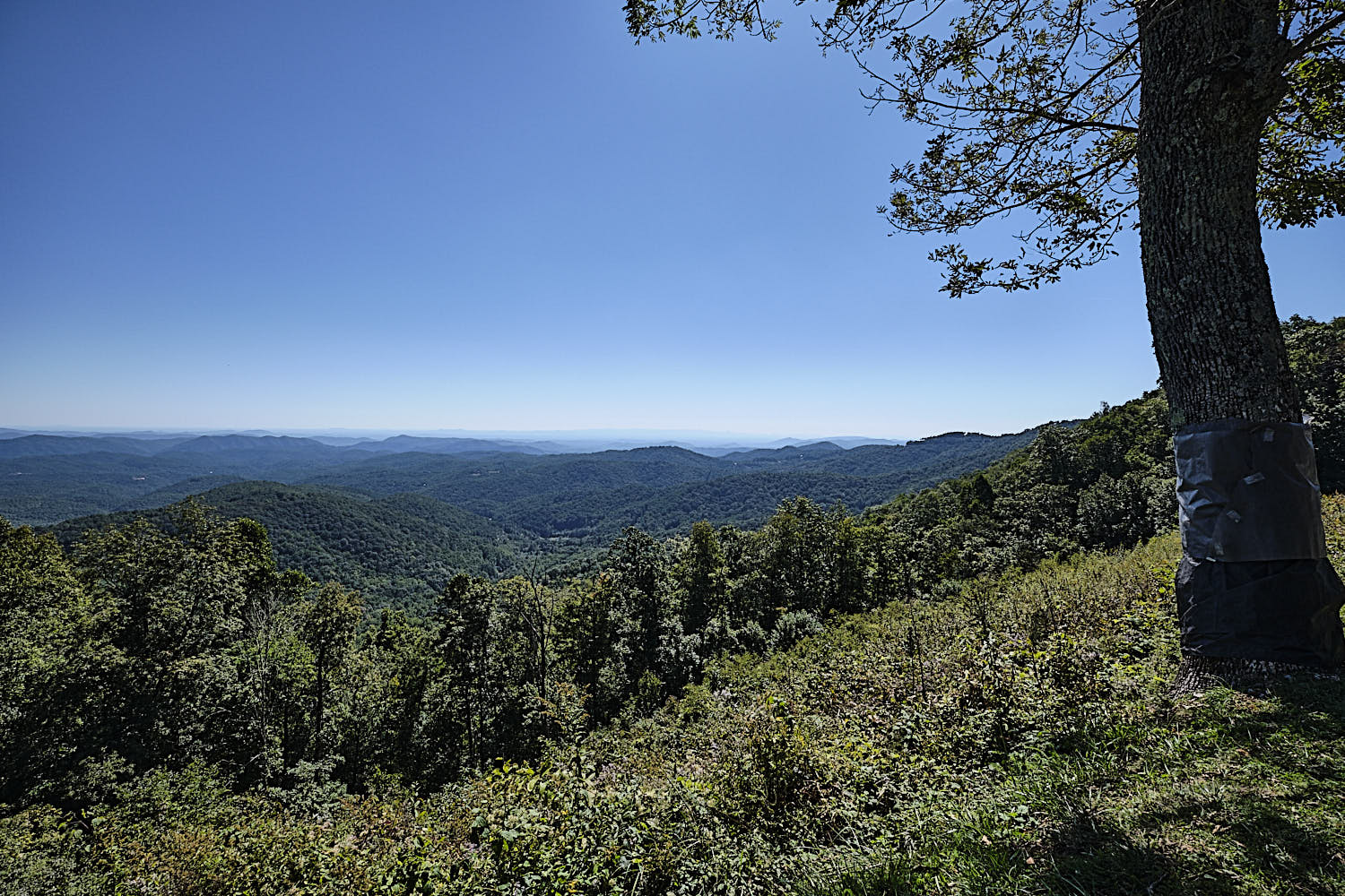Blue Ridge Parkway