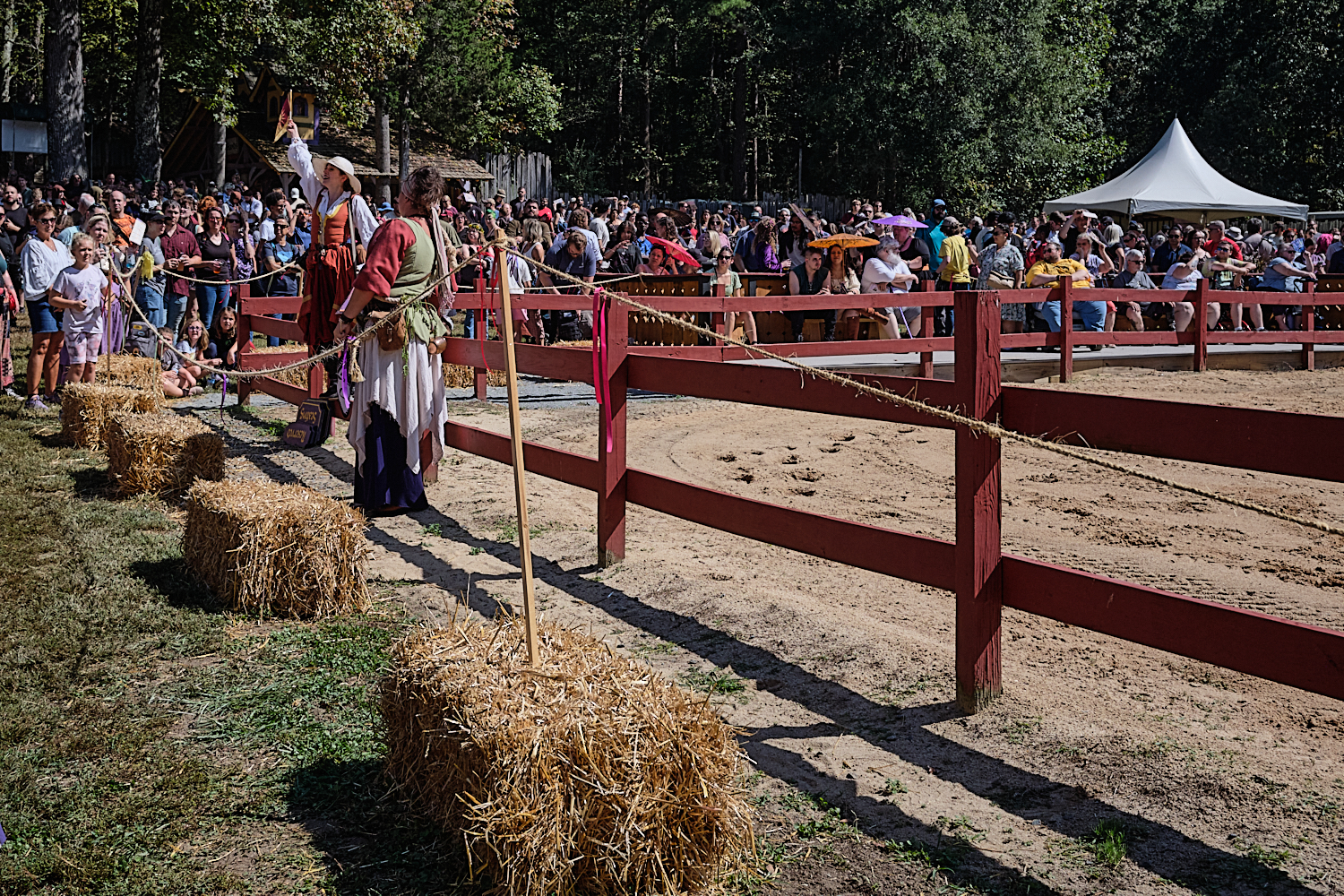 NC Ren Fest