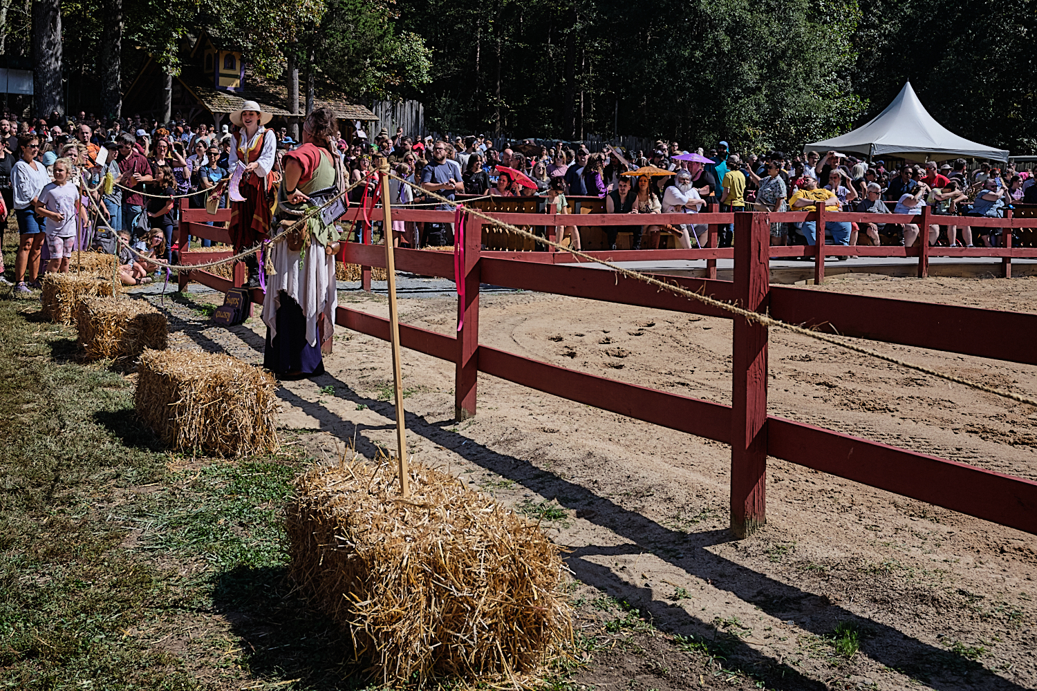 NC Ren Fest