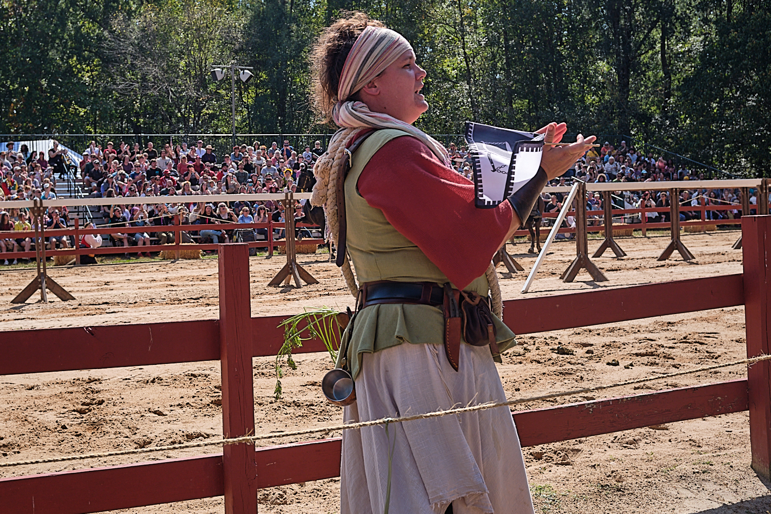 NC Ren Fest