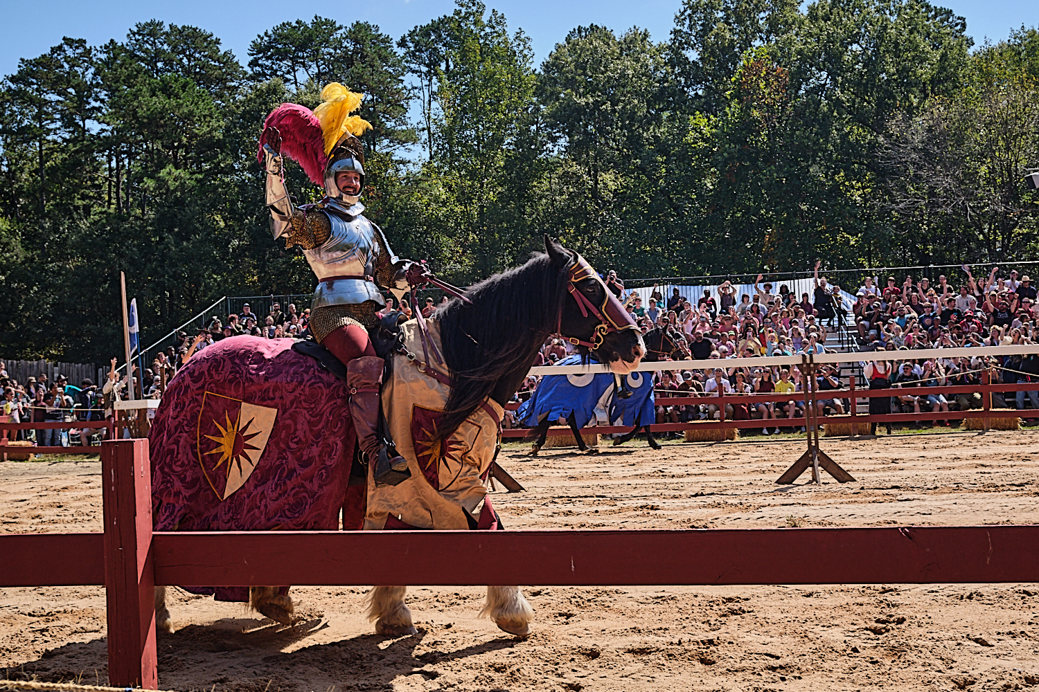 NC Ren Fest