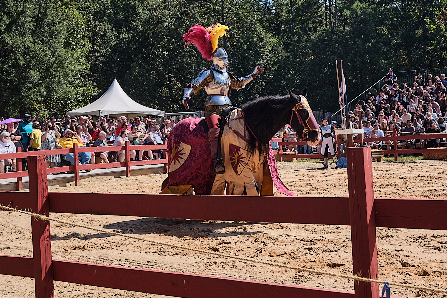NC Ren Fest
