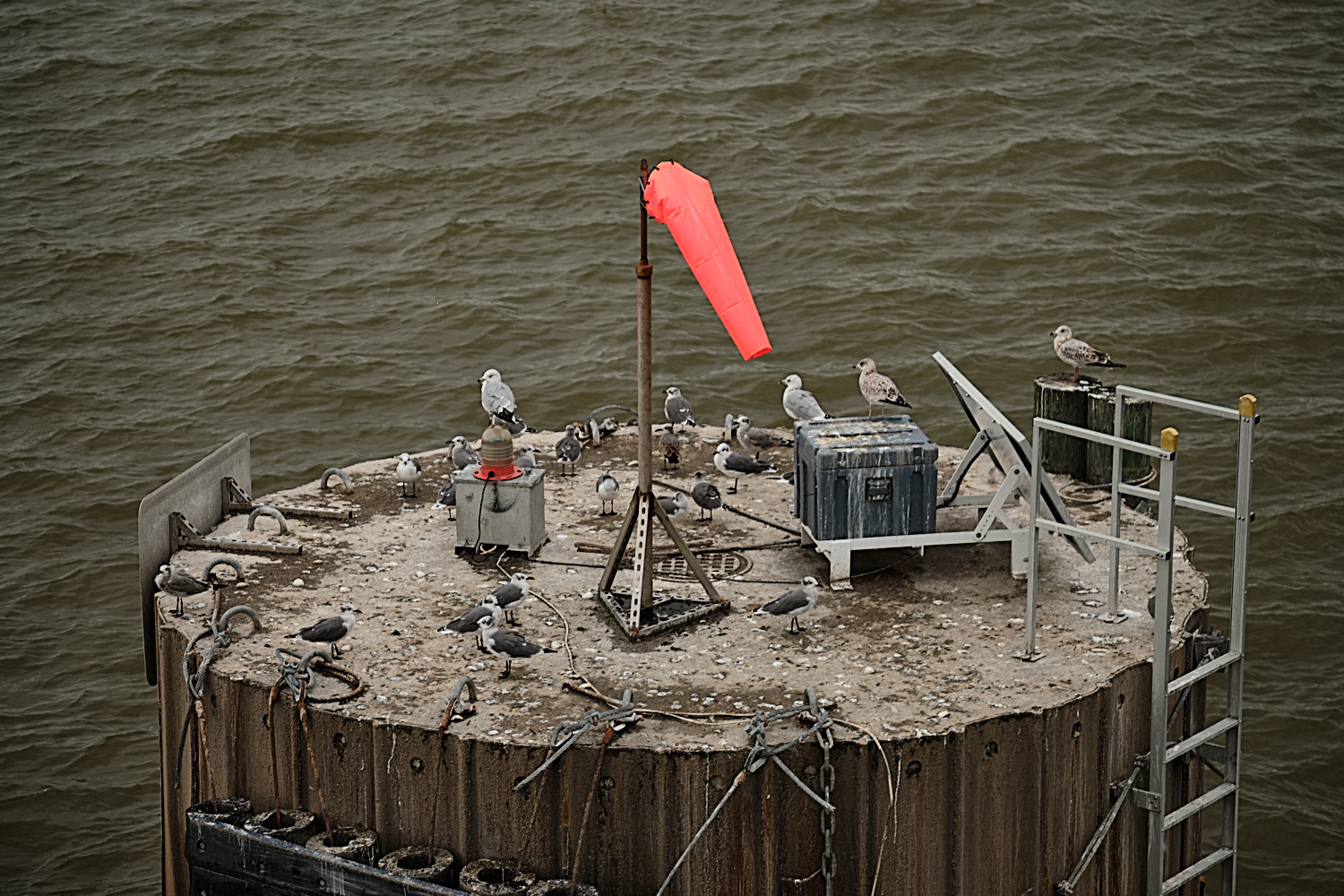 Jamestown-Scotland Ferry