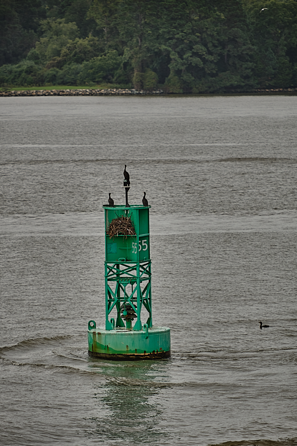 Jamestown-Scotland Ferry