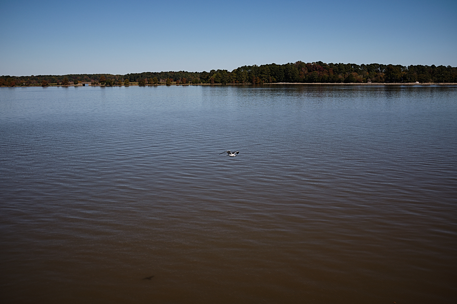 Jamestown-Scotland Ferry