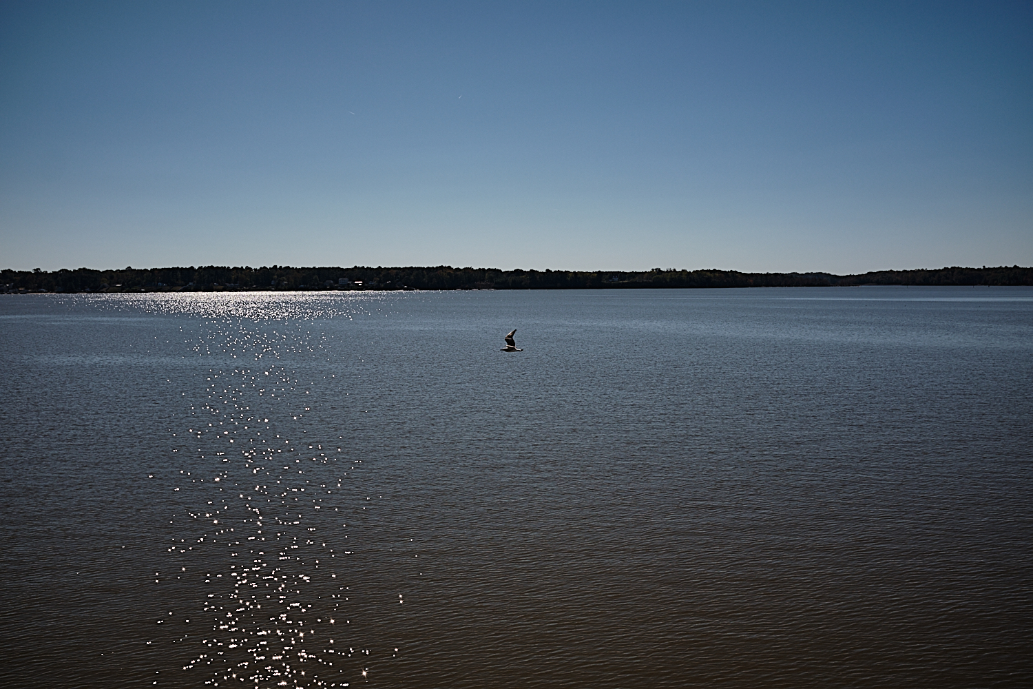 Jamestown-Scotland Ferry