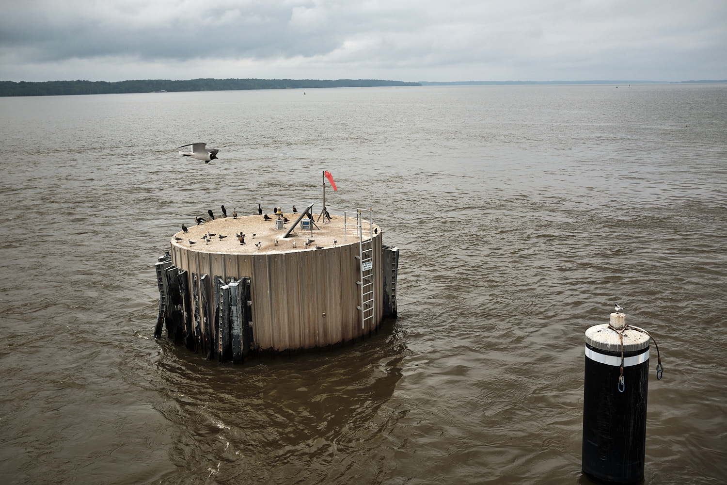 Jamestown-Scotland Ferry